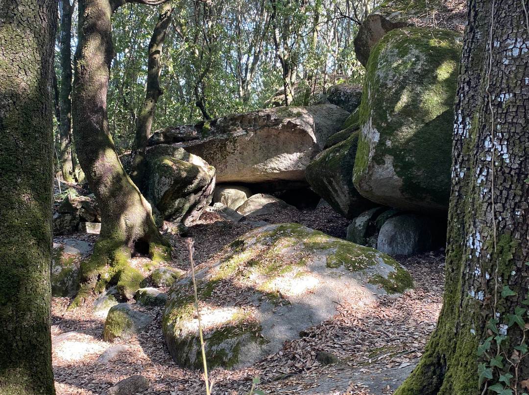 Parco Santa Degna-Aggius必去景点