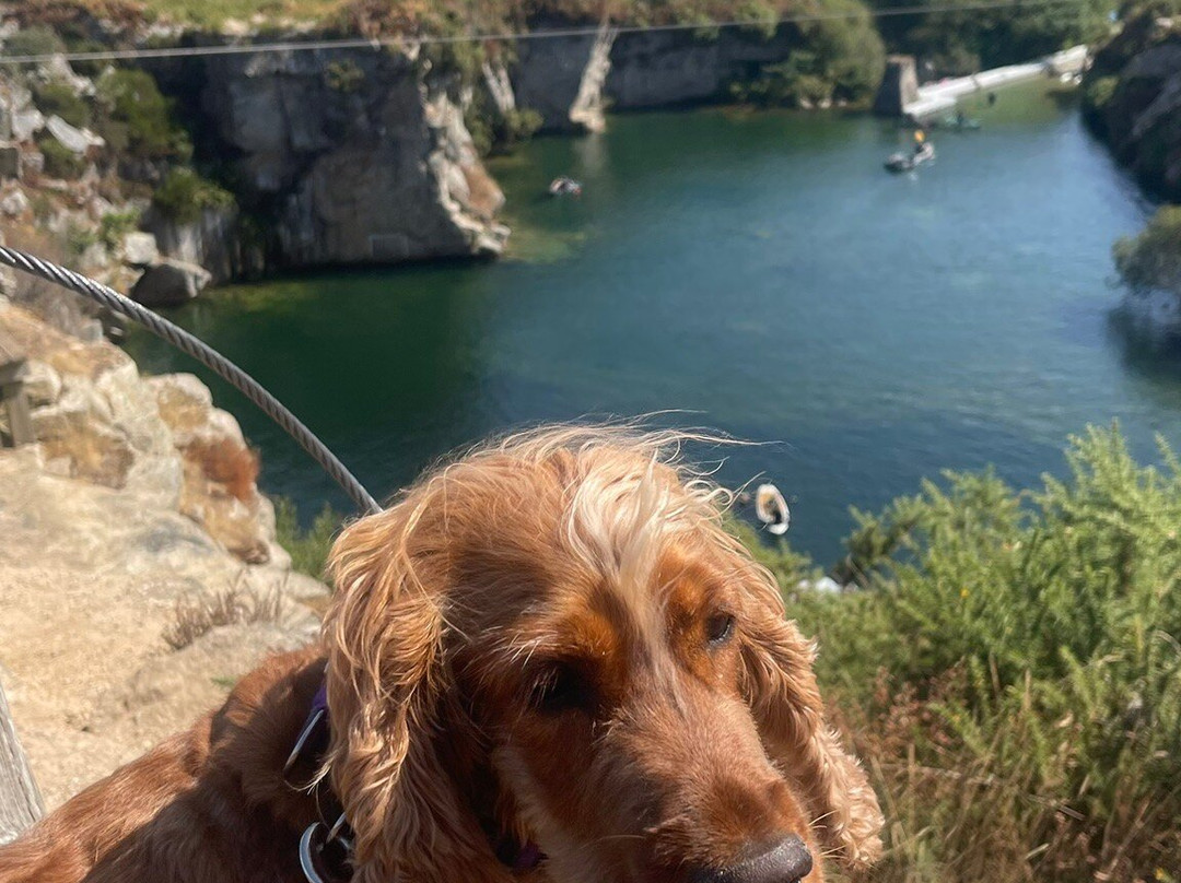 Via Ferrata Cornwall-Penryn必去景点