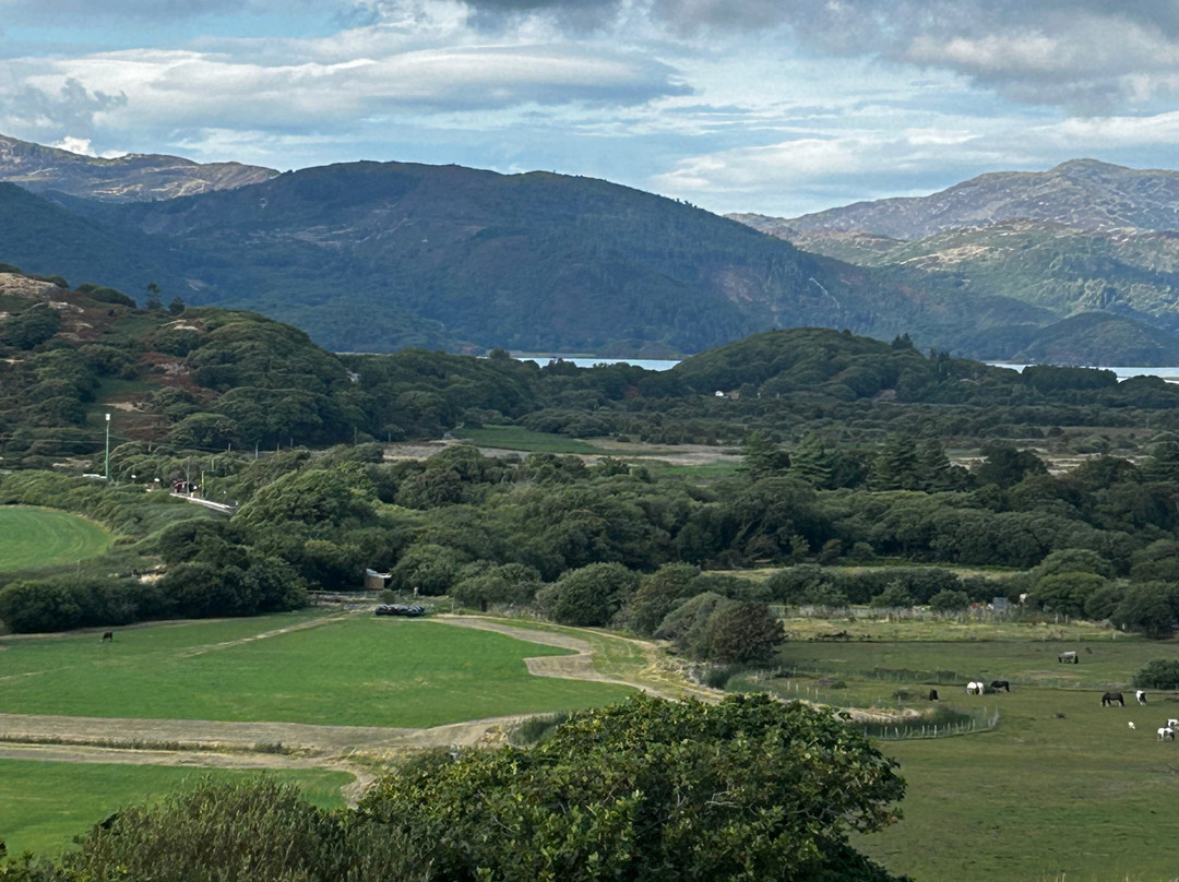 Pony Trekking at Bwlchgwyn Farm-Arthog必去景点