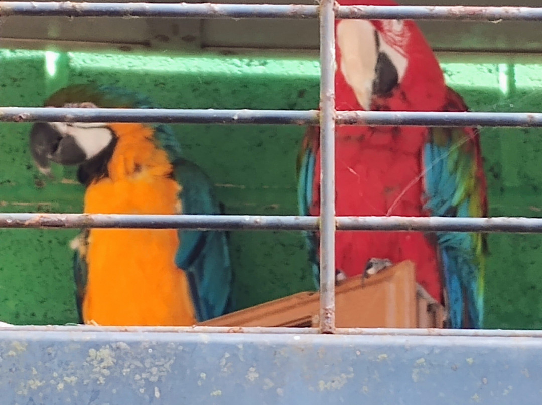 Exotic Pet Refuge-彼得伯勒必去景点