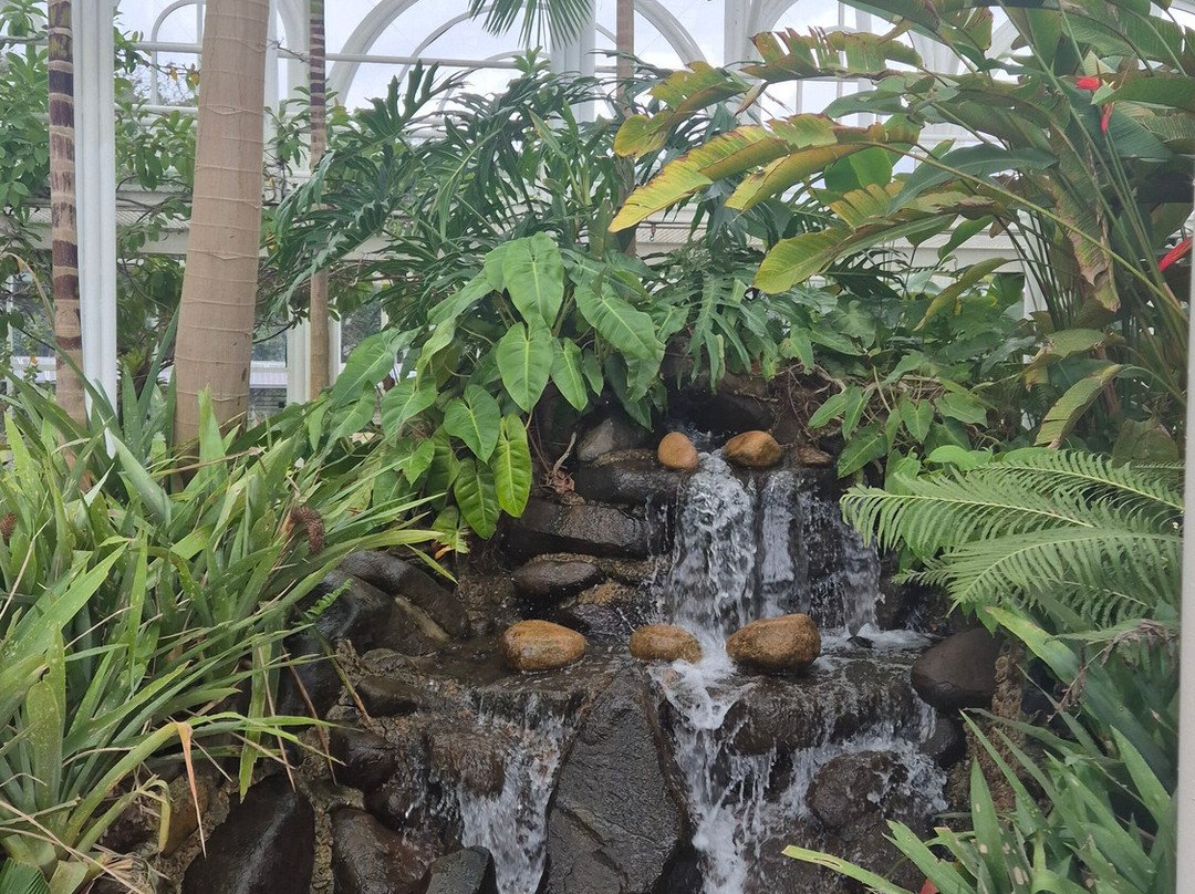 Jardim Botânico de Curitiba-库里提巴必去景点