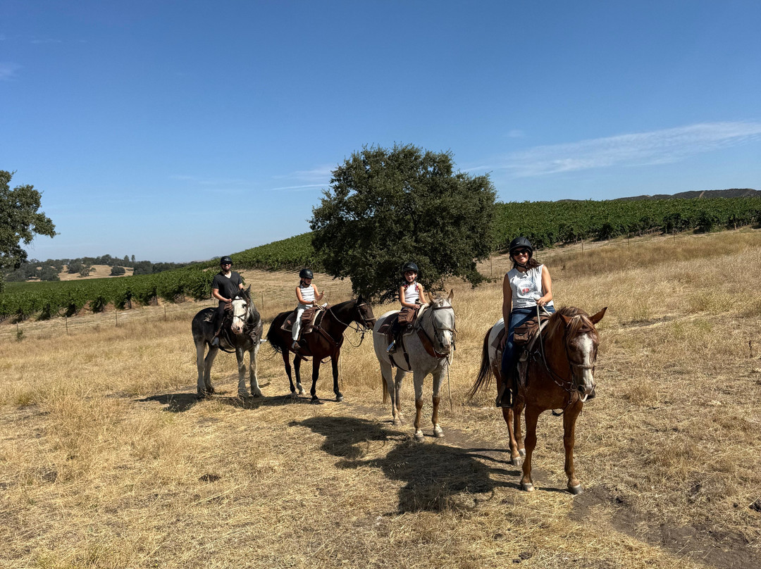 Central Coast Trailrides-帕索罗布尔斯必去景点