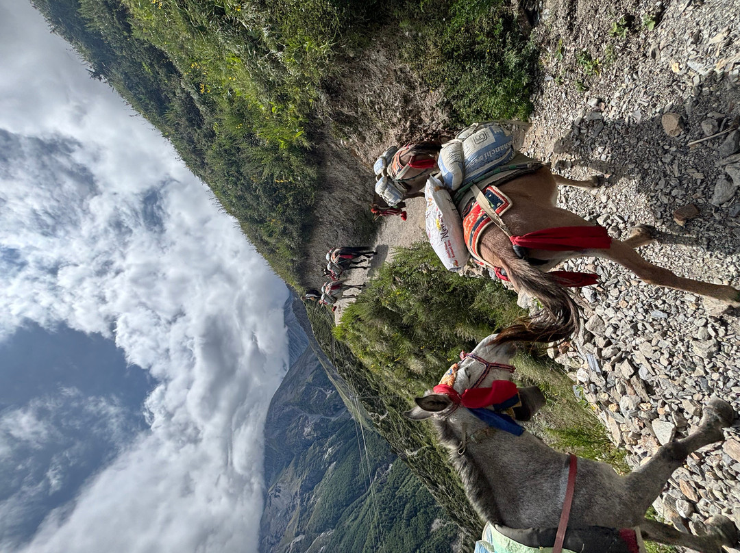 Adventure Himalaya Circuit Treks and Tours - Private Day Tours-加德满都必去景点