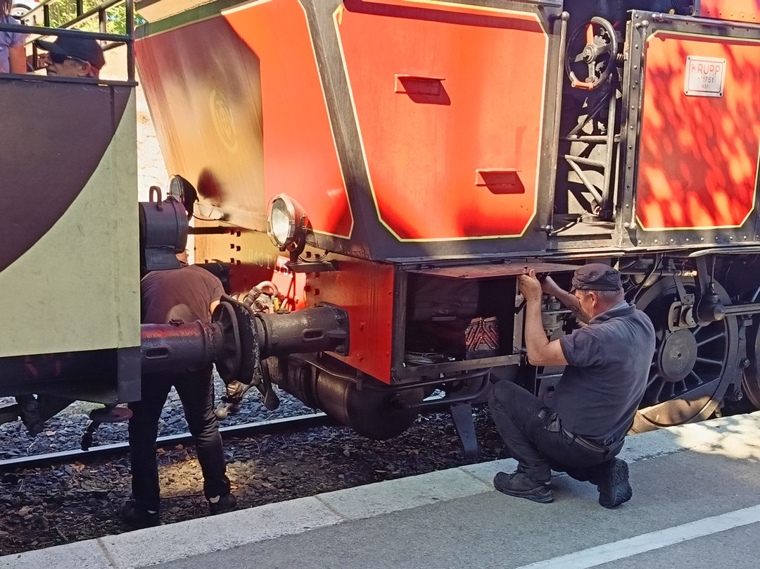Train à Vapeur des Cévennes-Anduze必去景点