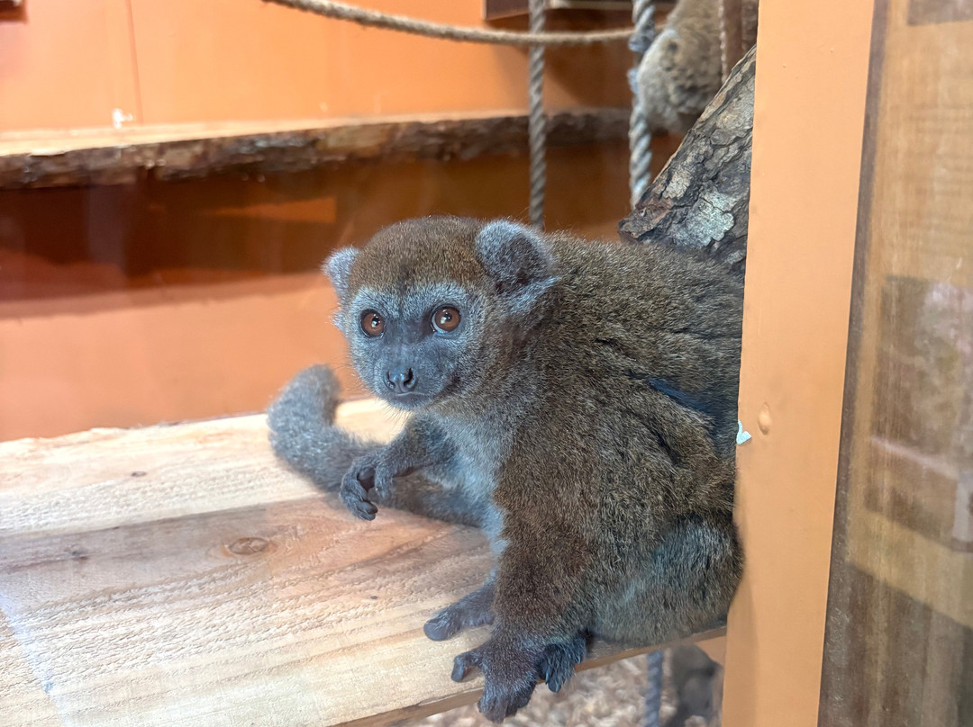 Aalborg Zoologiske Have-奥尔堡必去景点
