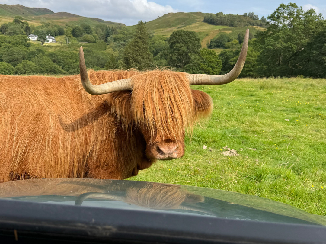 Nether Glenny Farm - Coos and Views-斯特灵必去景点