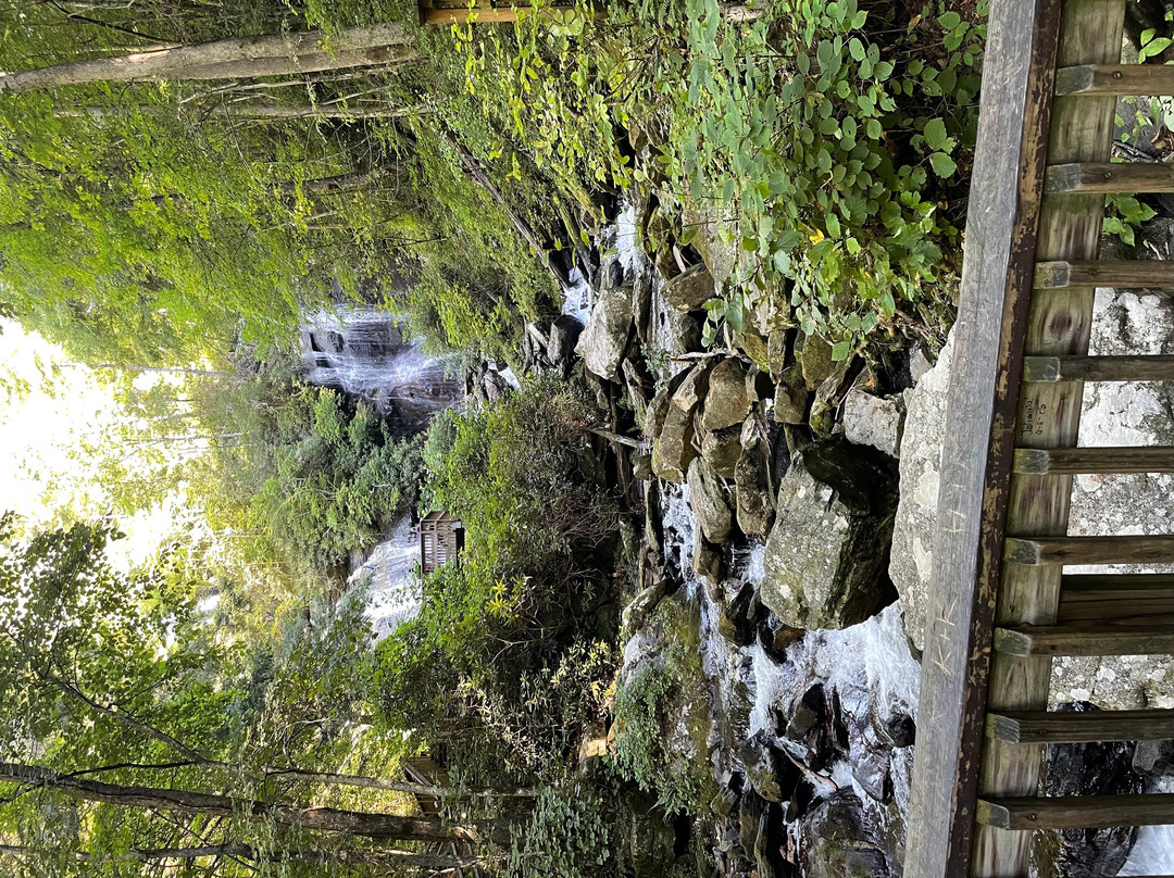 Dukes Creek Falls Trail-海伦必去景点