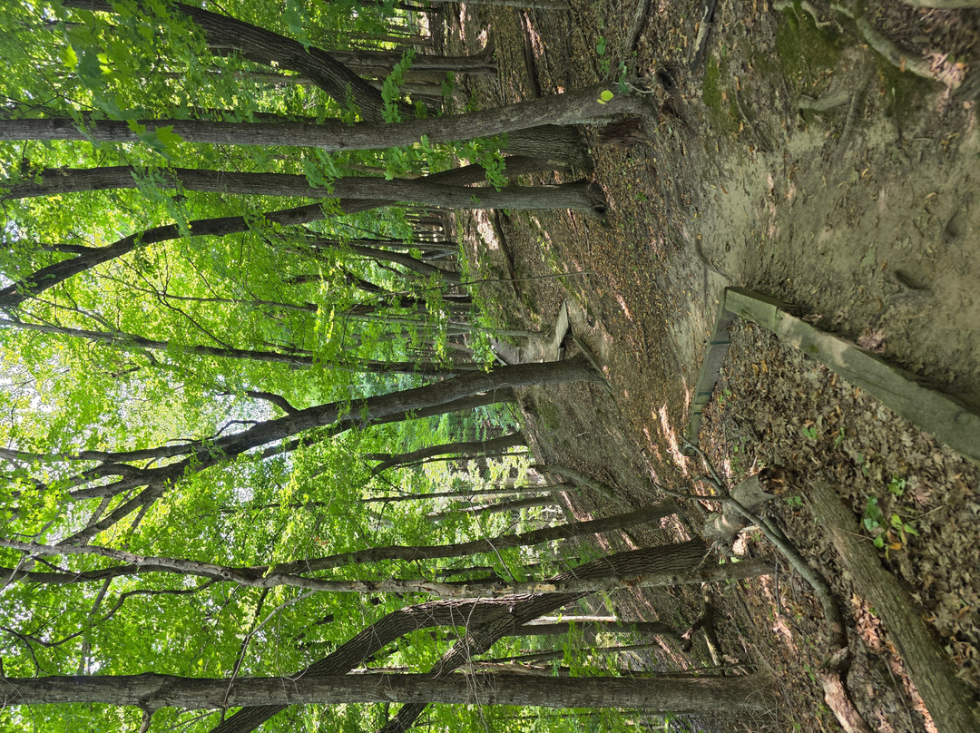 Frontenac State Park-Frontenac必去景点