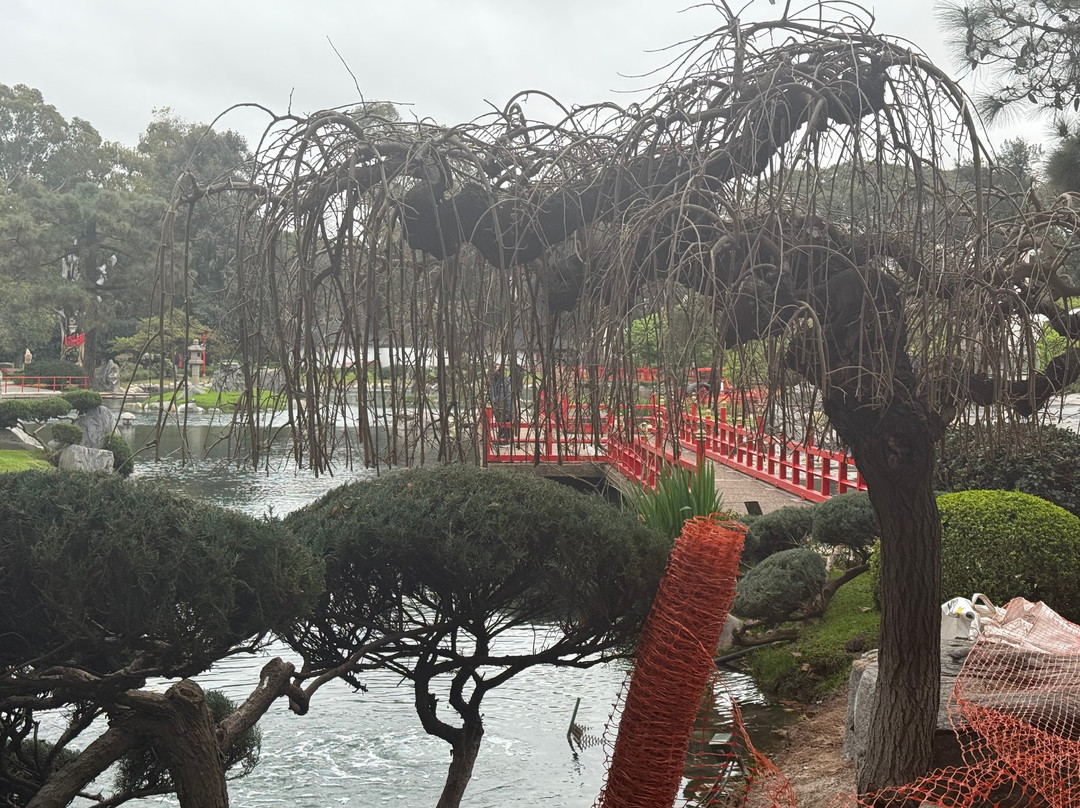 Jardín Japonés-布宜诺斯艾利斯必去景点