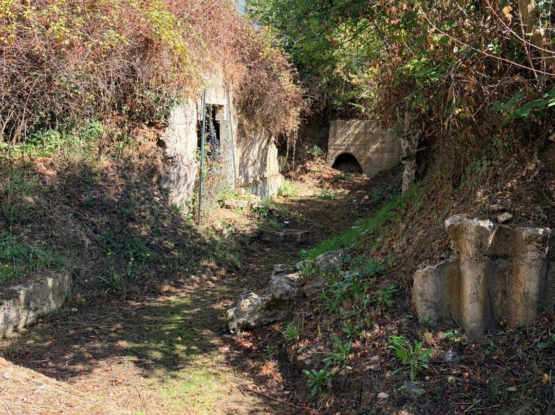 Maisy Battery-Grandcamp-Maisy必去景点