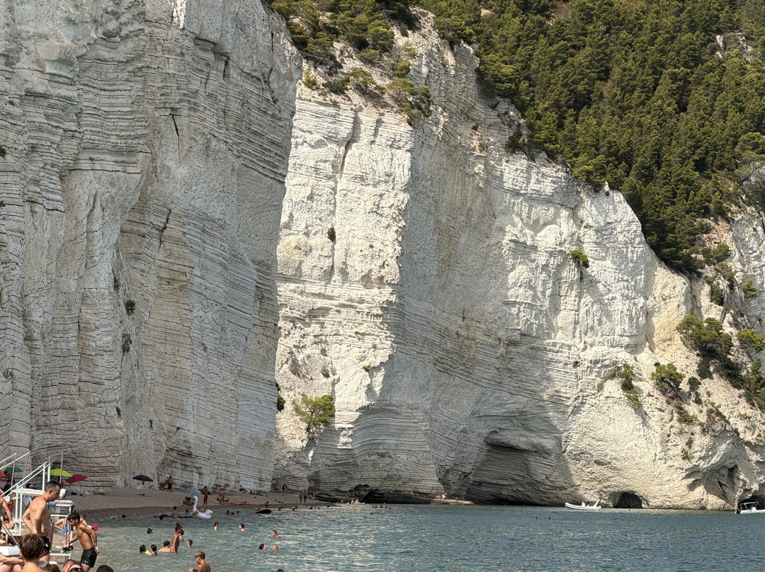 Spiaggia di Vignanotica-维耶斯泰必去景点