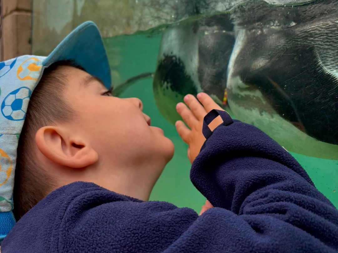 Twycross Zoo-Atherstone必去景点