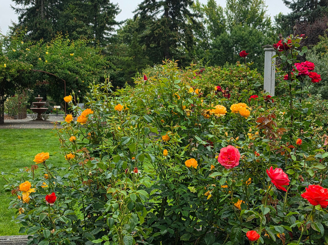 Highline SeaTac Botanical Gardens-西塔科必去景点