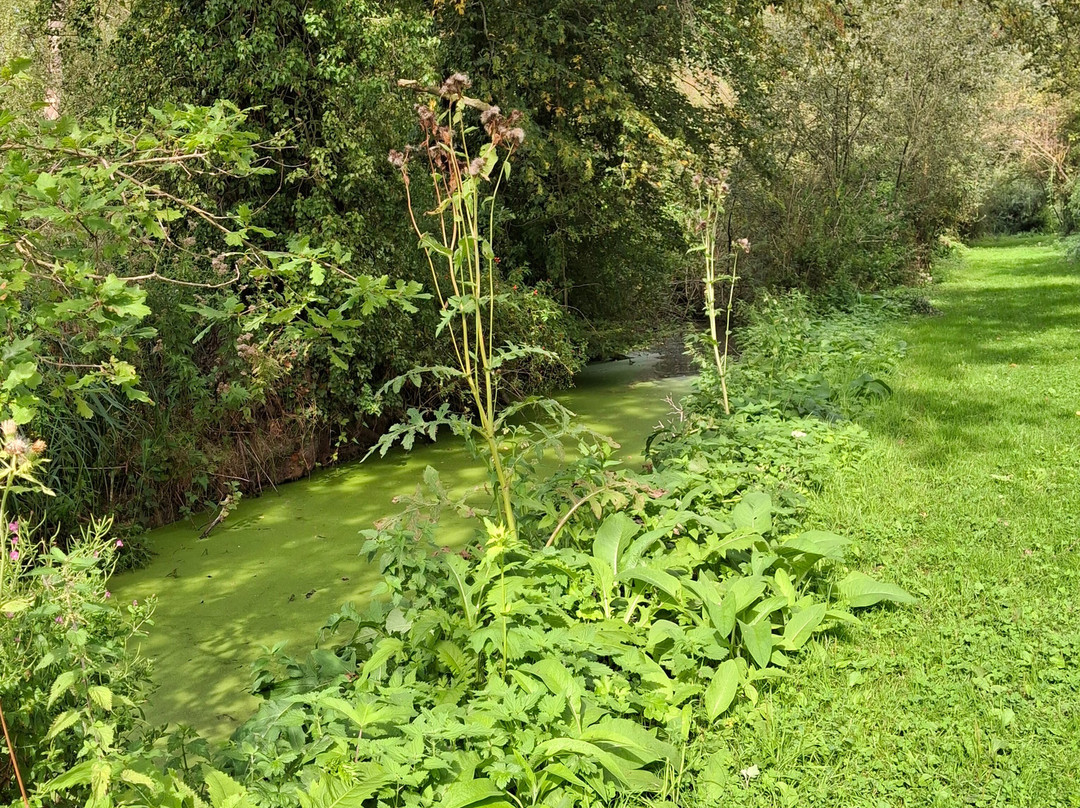 Réserve Ornithologique de Grand-Laviers-Grand-Laviers必去景点