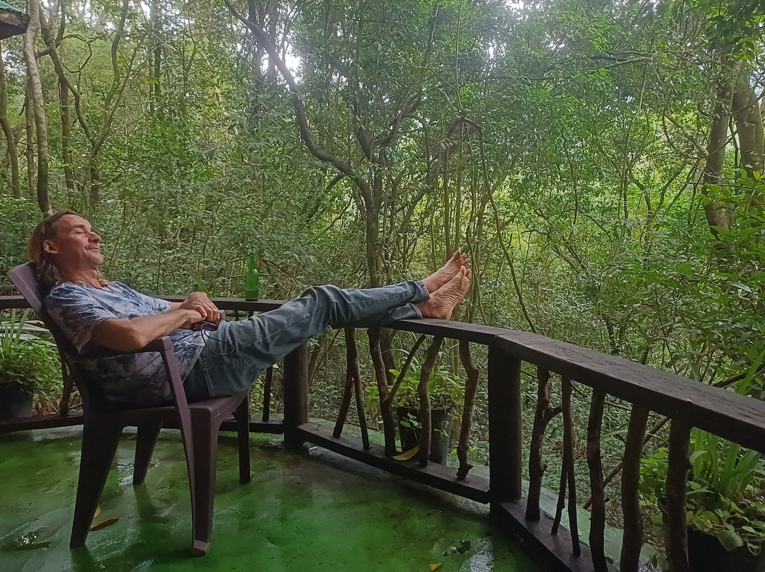 Tacugama Chimpanzee Sanctuary-弗里敦必去景点