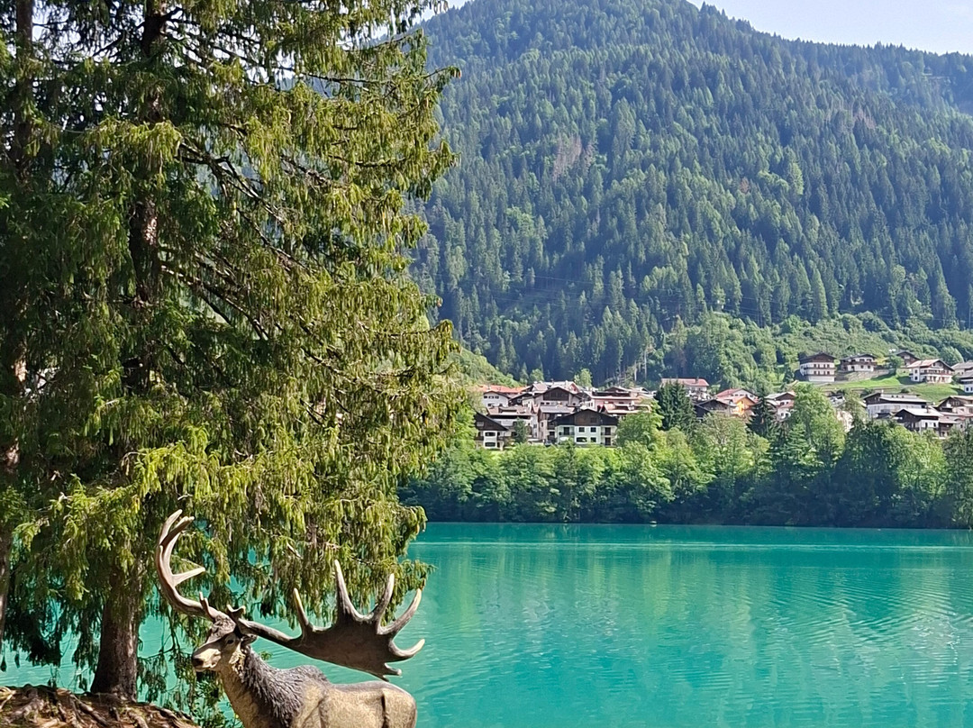 Lago di Auronzo-奥龙佐迪卡多雷必去景点