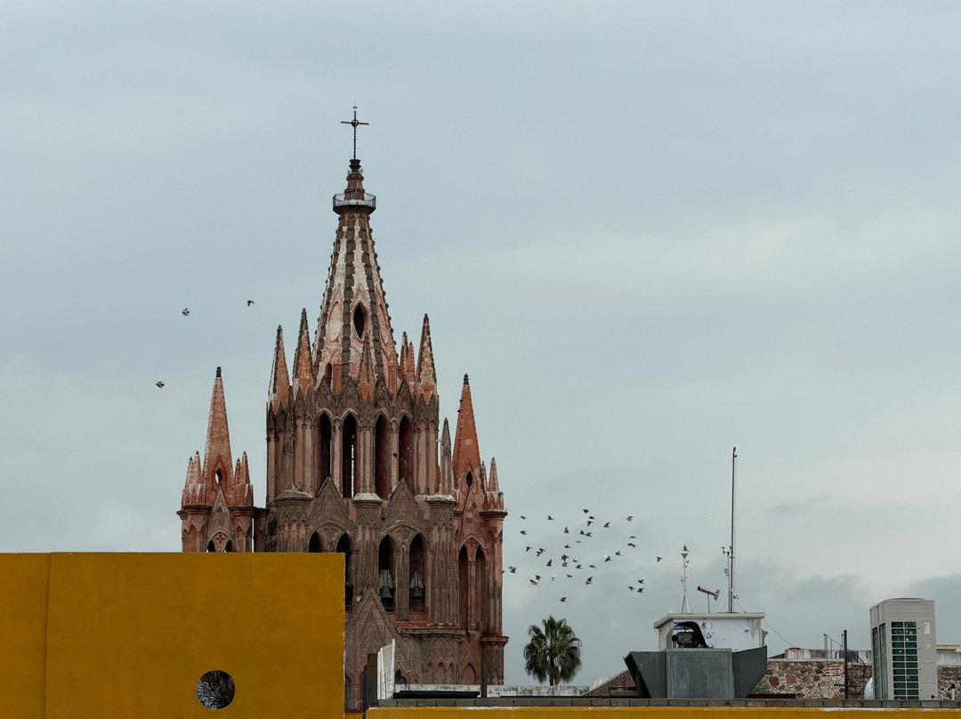 Kalí Rooftop