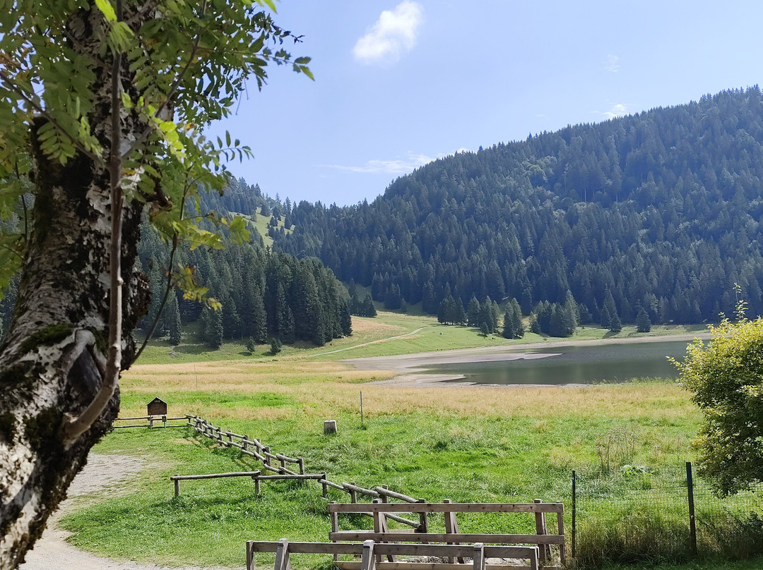 Lago di Lova-Borno必去景点