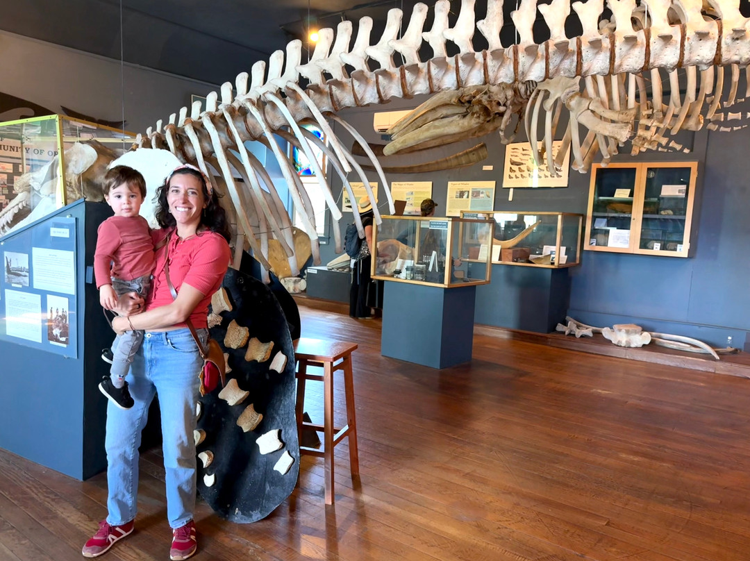 The Whale Museum-星期五港湾必去景点