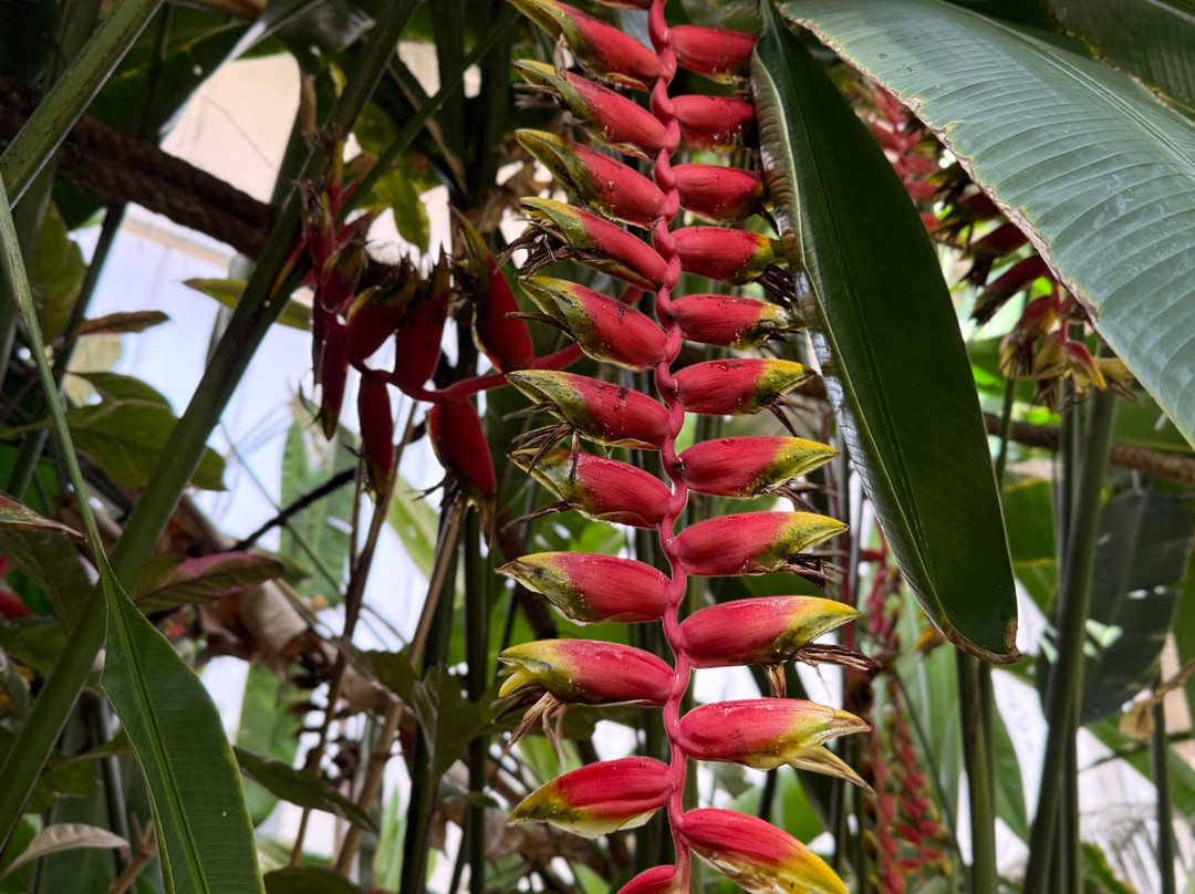 Orquidario de Estepona-埃斯特波纳必去景点