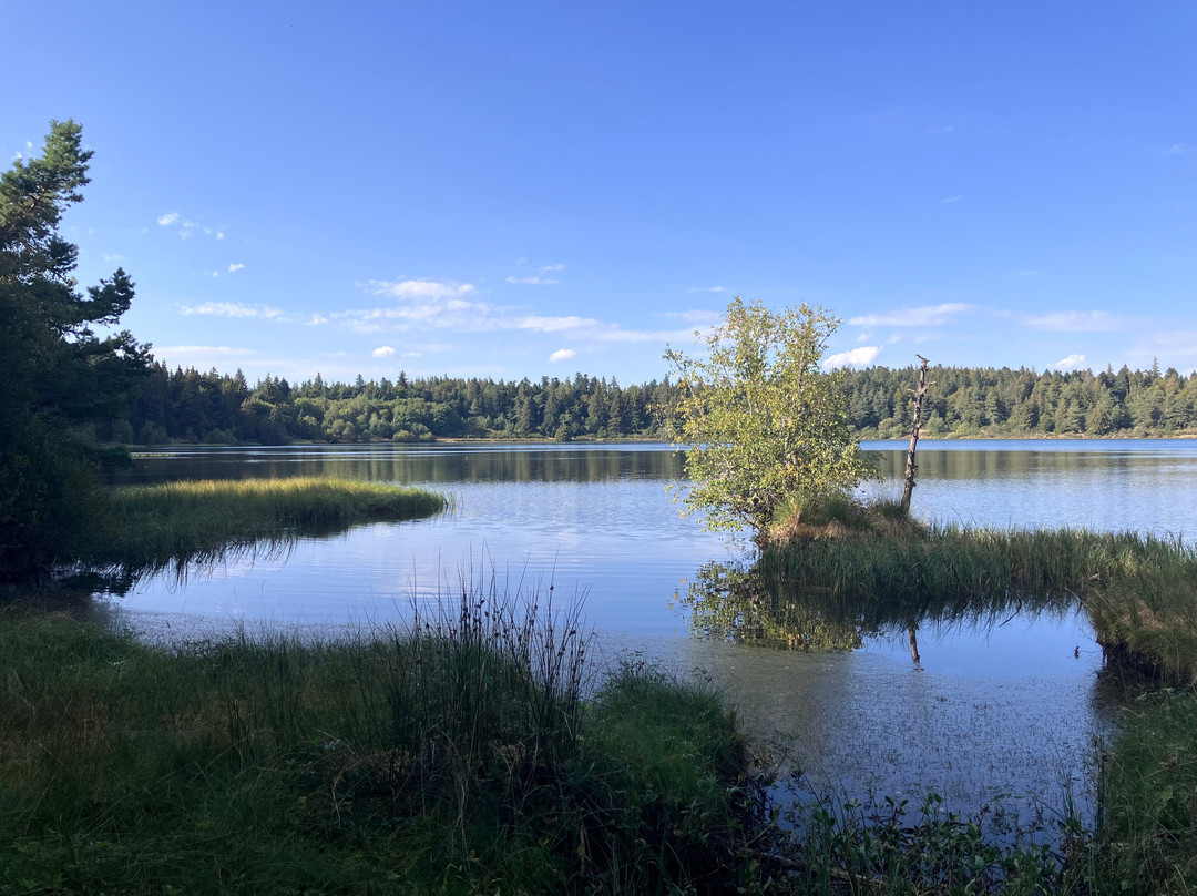 Lac de Servières-Orcival必去景点