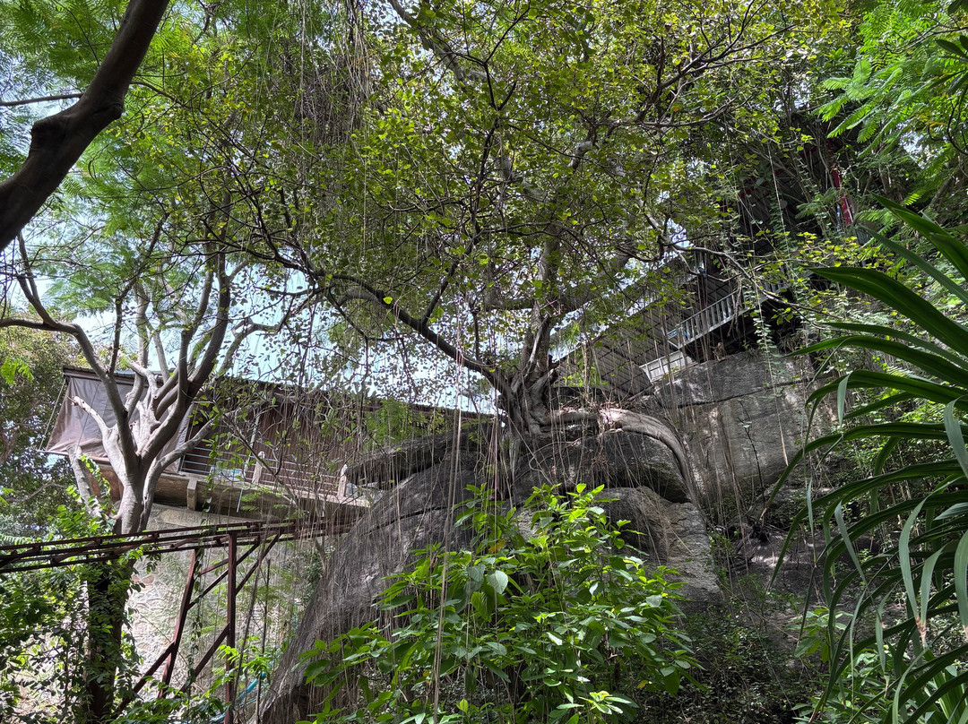 Wat Khao Krailart-Nong Kae必去景点
