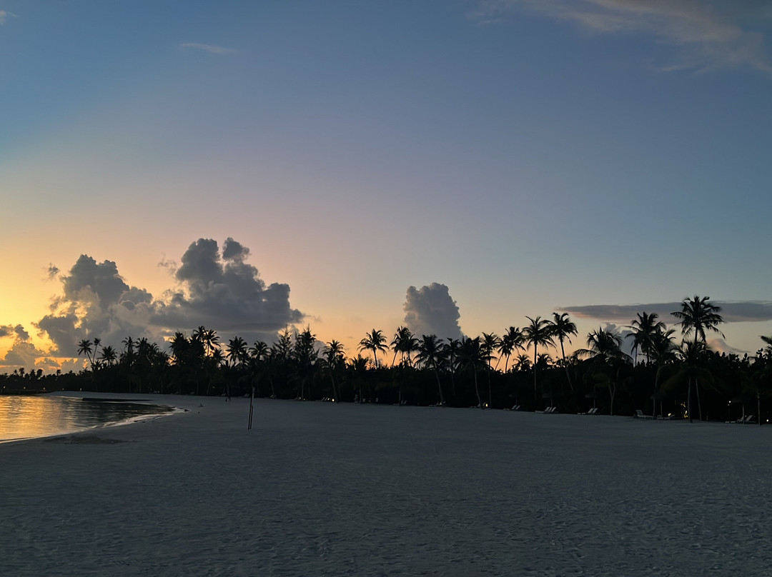 Joy Island Maldives by Cocoon Collection主图