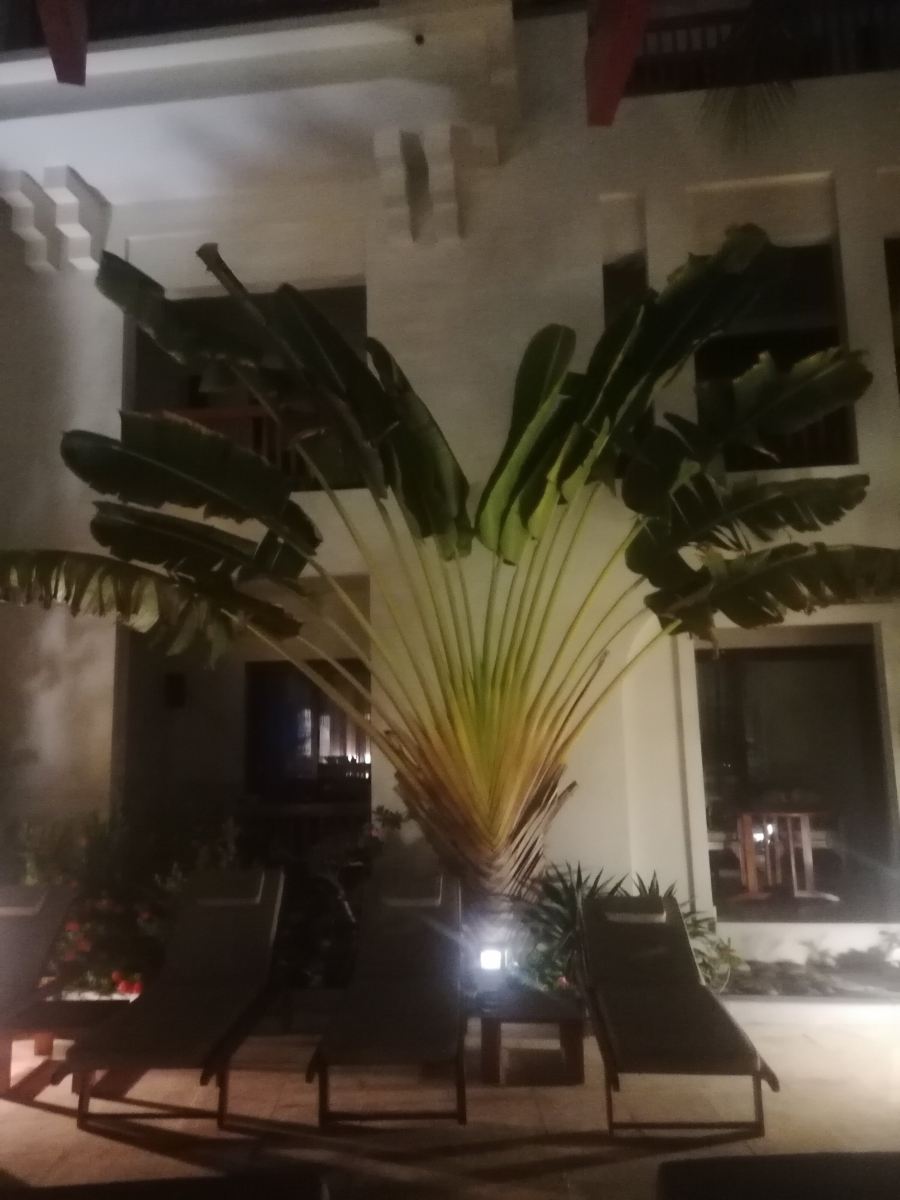西法威精品酒店-旅行者