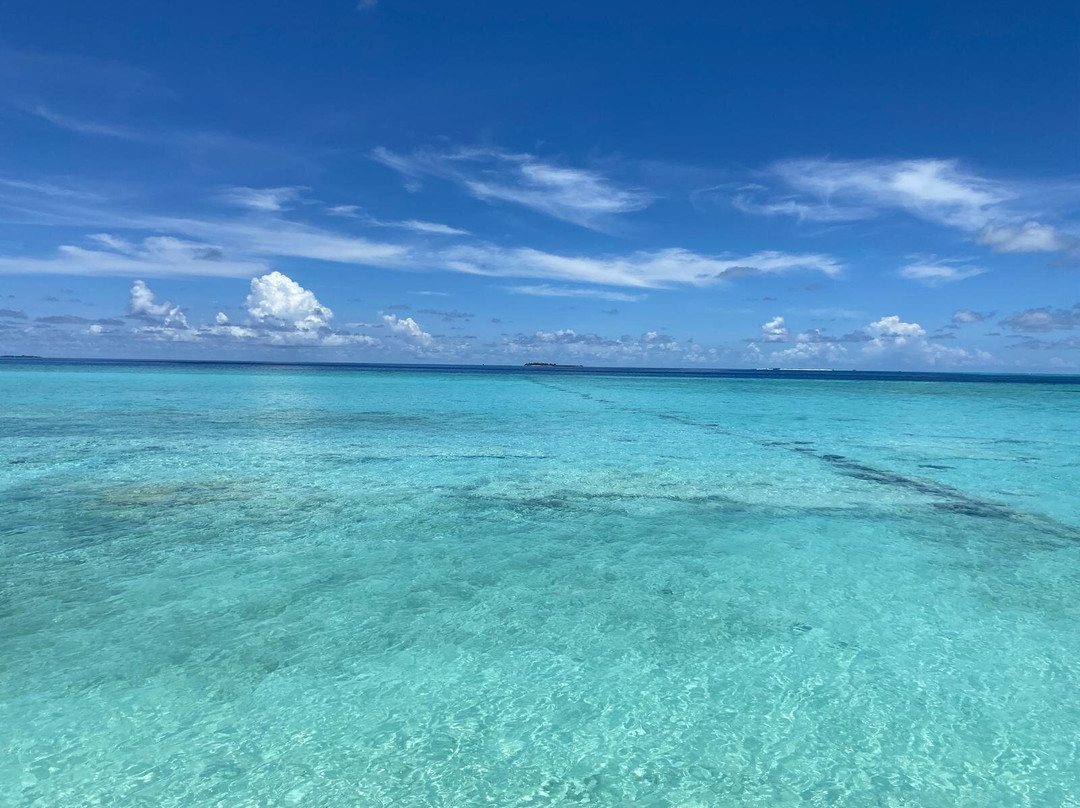 Alimatha Island-瓦武环礁必去景点