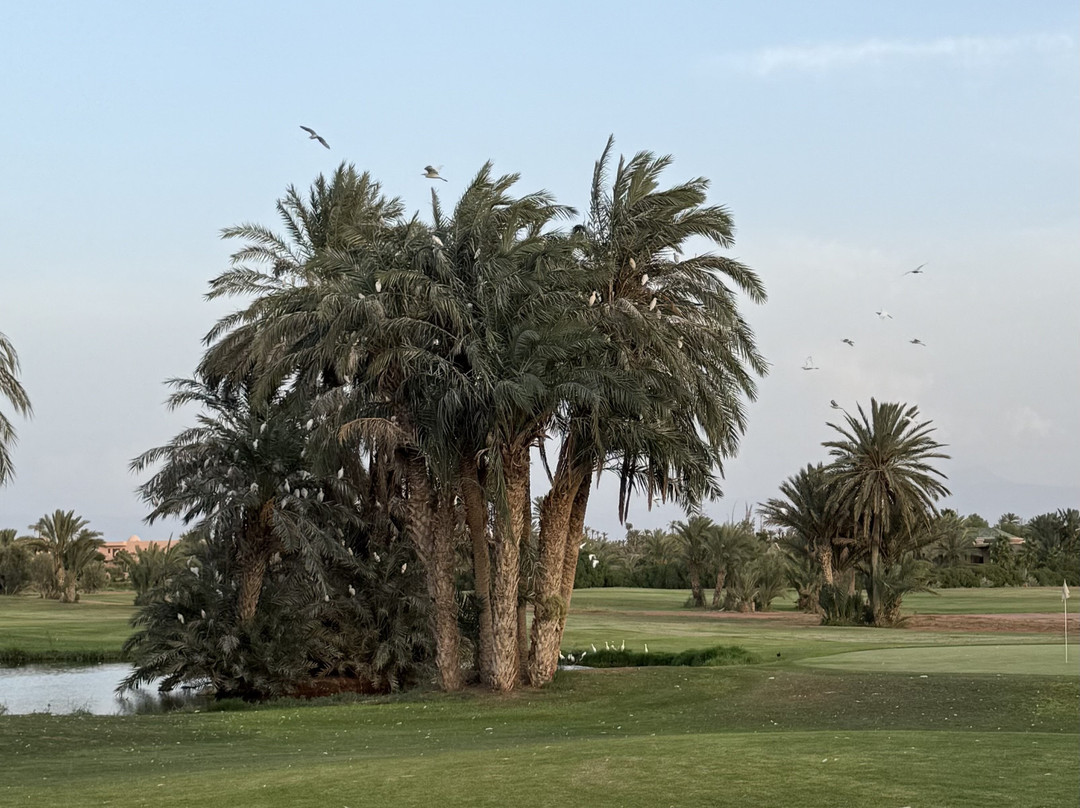 Golf Club Rotana Palmeraie主图