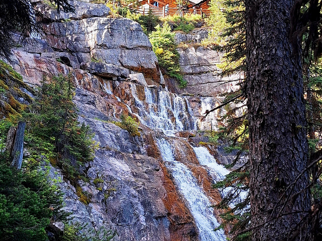 Timberline Tours Ltd. - Private Day Tours-路易斯湖必去景点