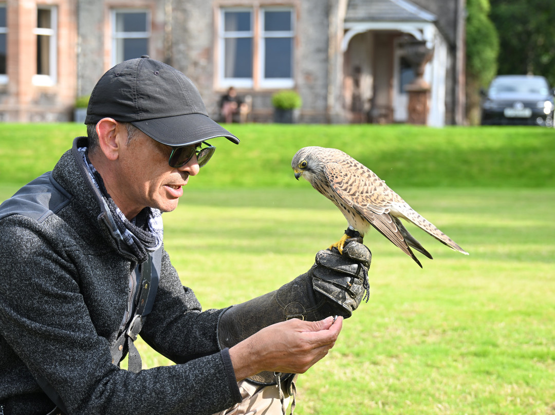 Shieldaig Falconry-盖尔洛赫必去景点