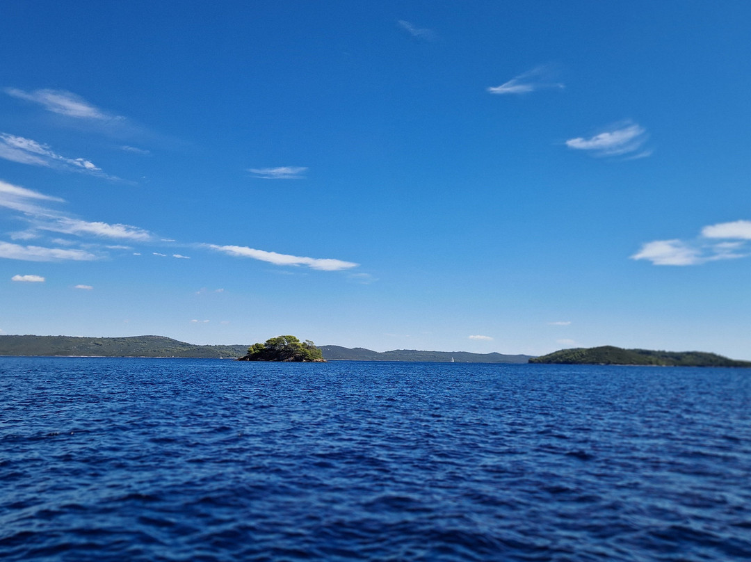 Feel Adriatic Nature Boat Tours Zadar-扎达尔必去景点