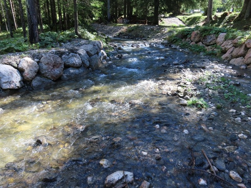 Torrente Fiorentina-Selva di Cadore必去景点