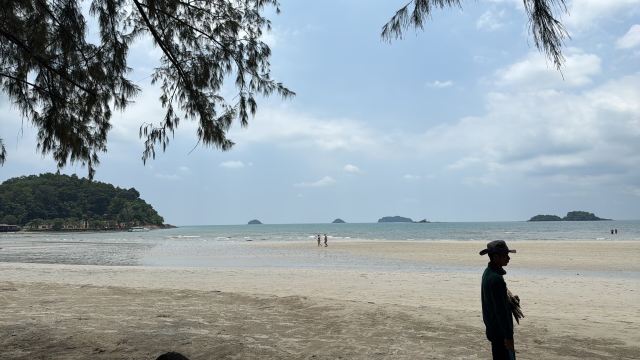 Jungle View Resort-旅行者