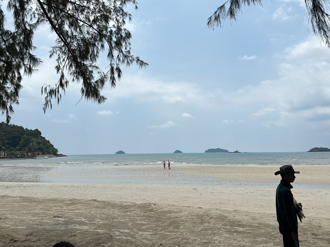 Jungle View Resort主图