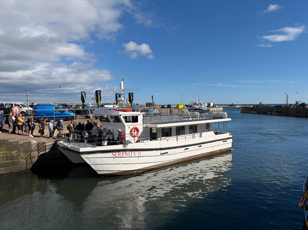 Serenity Farne Island Boat Tours-Seahouses必去景点