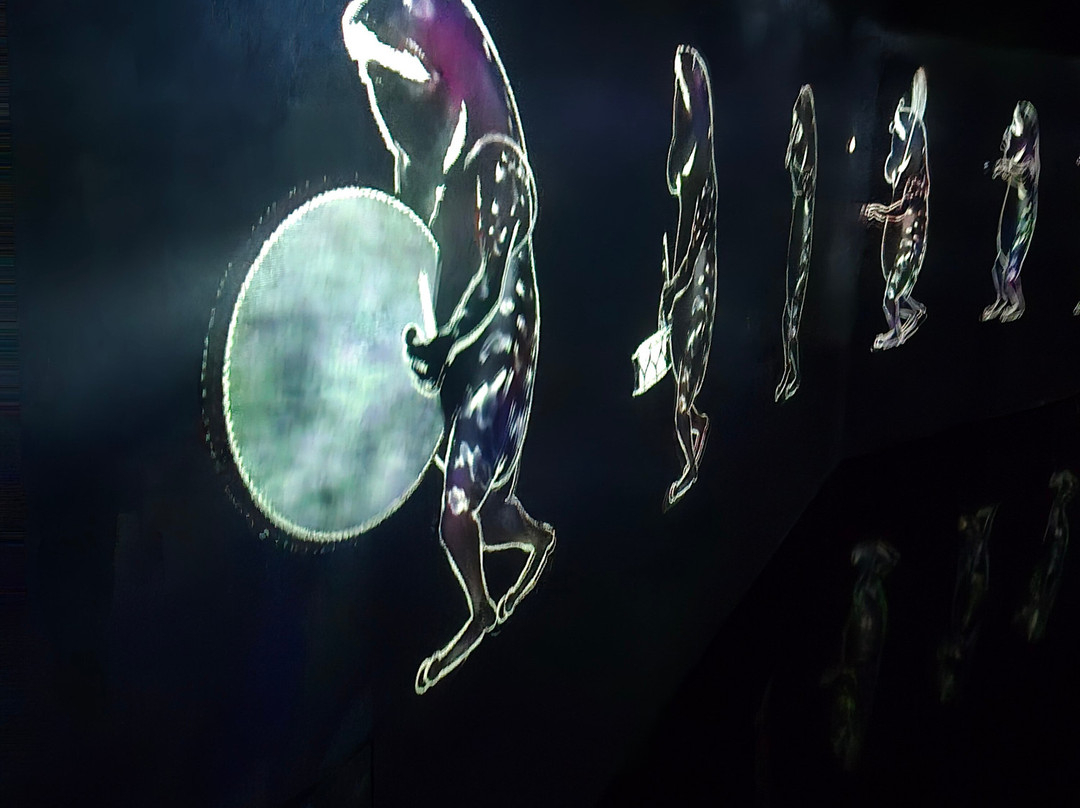 Teamlab Borderless Tokyo-港区必去景点