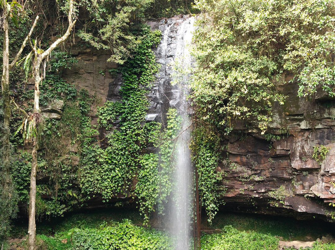 Waterfall Way-阿米代尔必去景点
