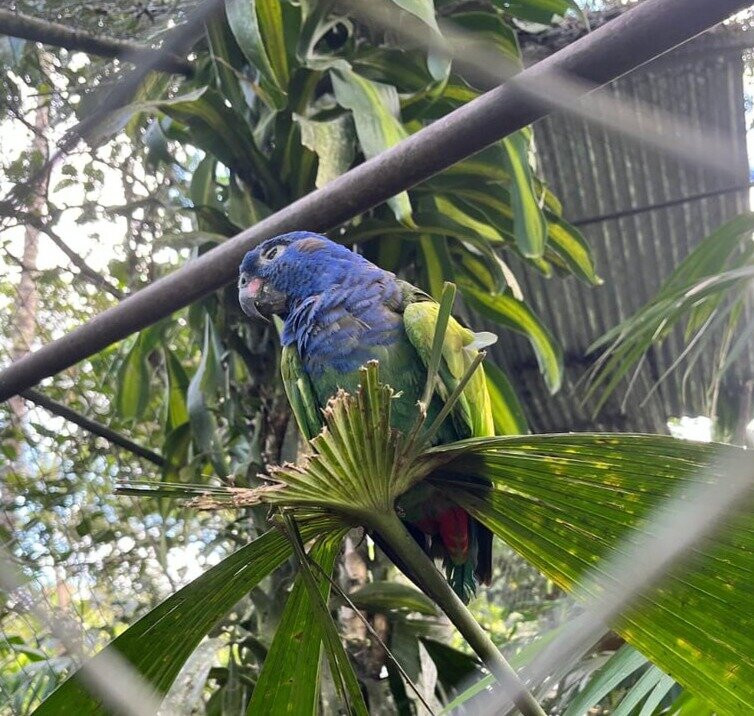 Los Jaguares Rescue Center-Macas必去景点
