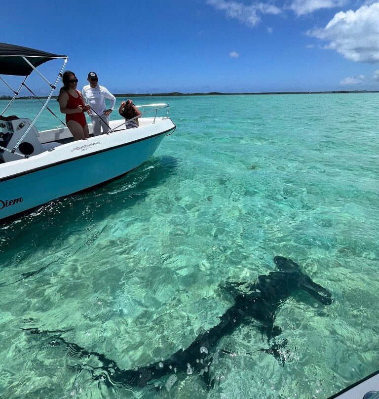 Long Island Boat Rentals & Tours-长岛必去景点