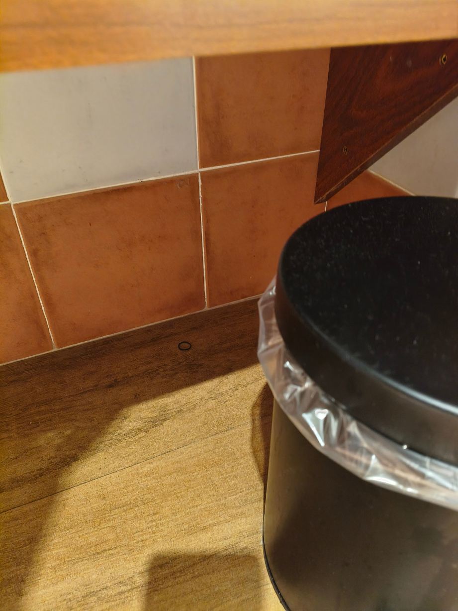 H10萨鲁皇宫酒店-旅行者