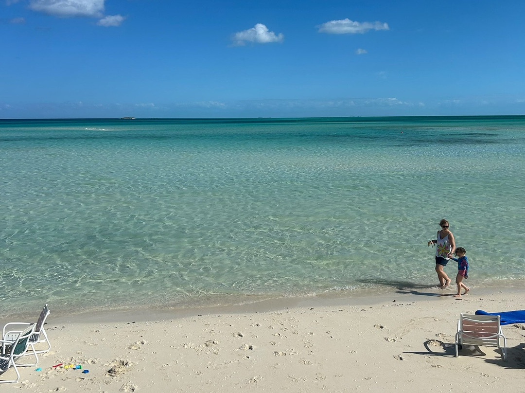 Disney Castaway Cay-Sandy Point必去景点