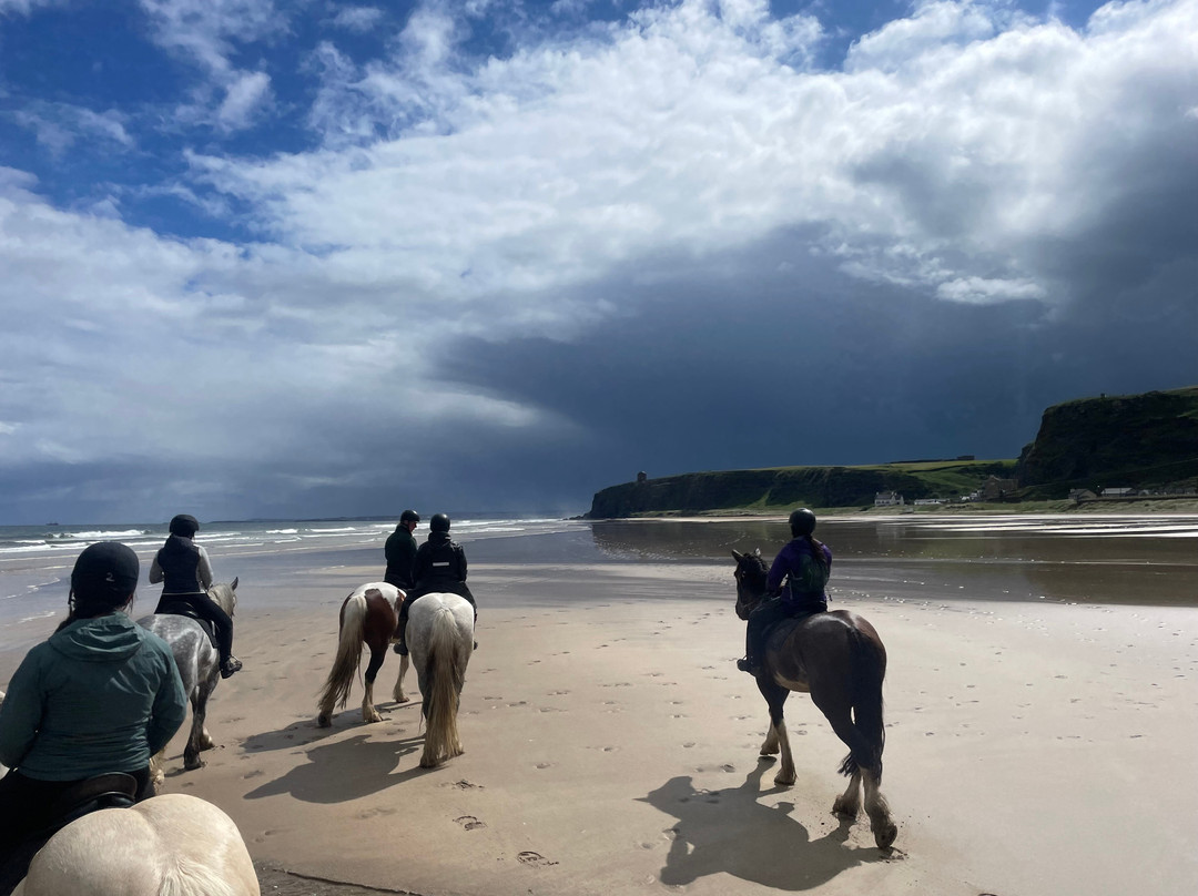 Bespoke Equestrian Ireland-都柏林必去景点