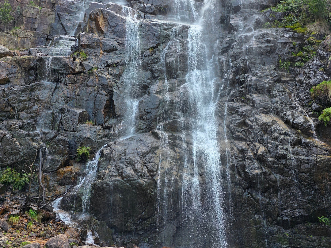 Bluff Falls-Cudgewa必去景点