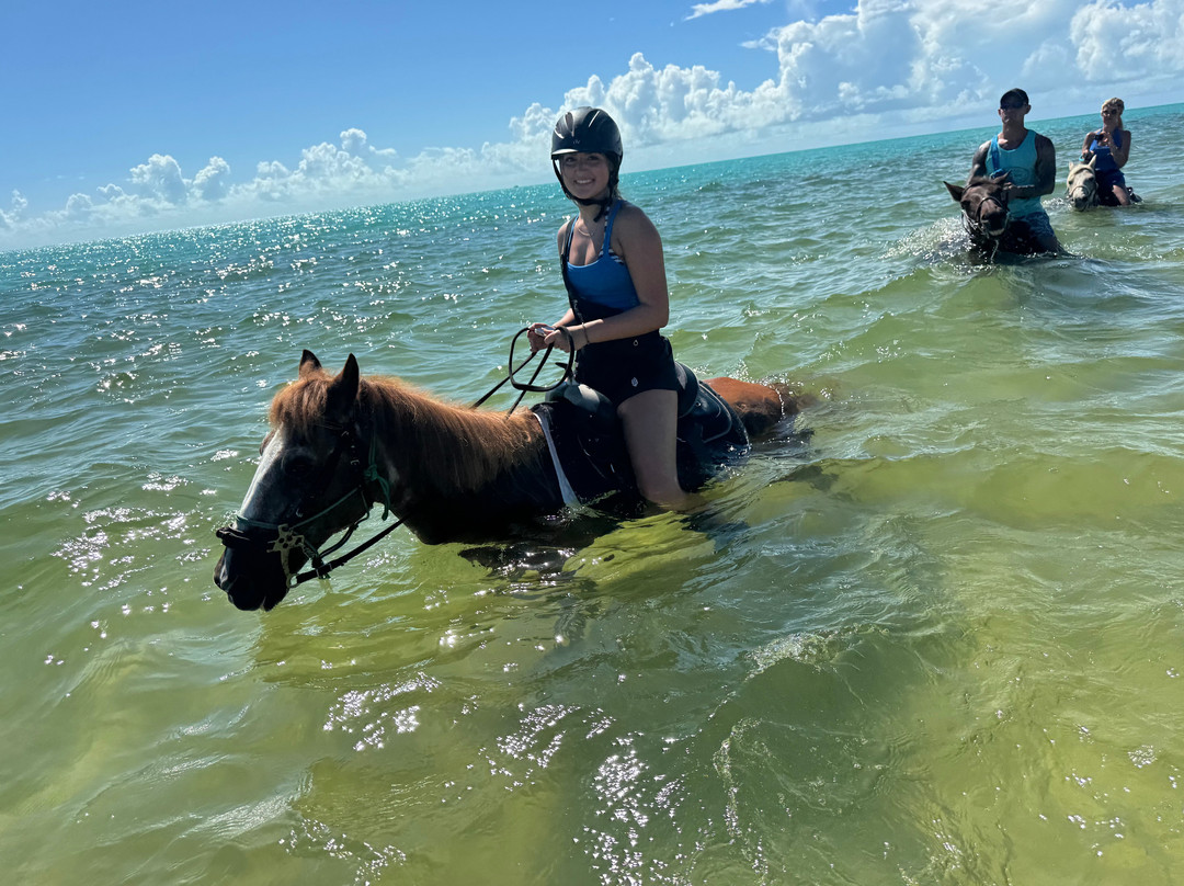 Provo Ponies-Long Bay Hills必去景点