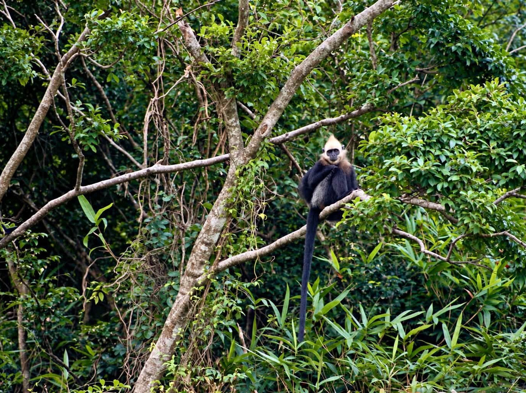 Cat Ba National Park-卡巴必去景点