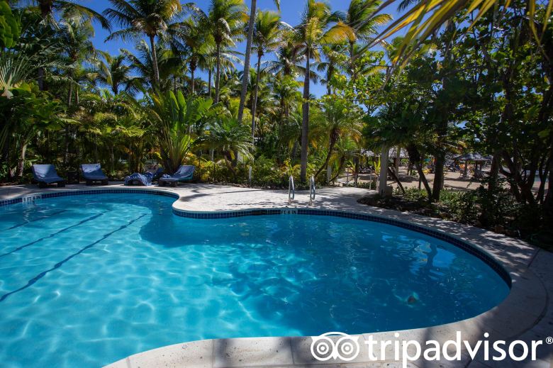Curtain Bluff Resort-泳池
