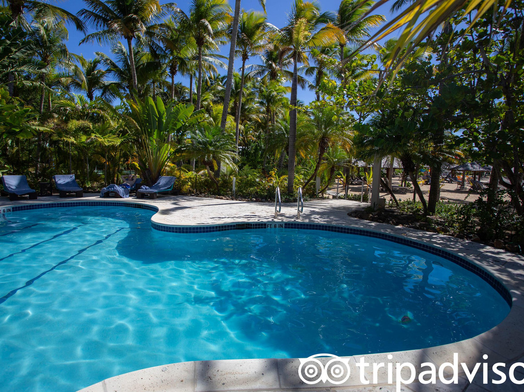 Curtain Bluff Resort