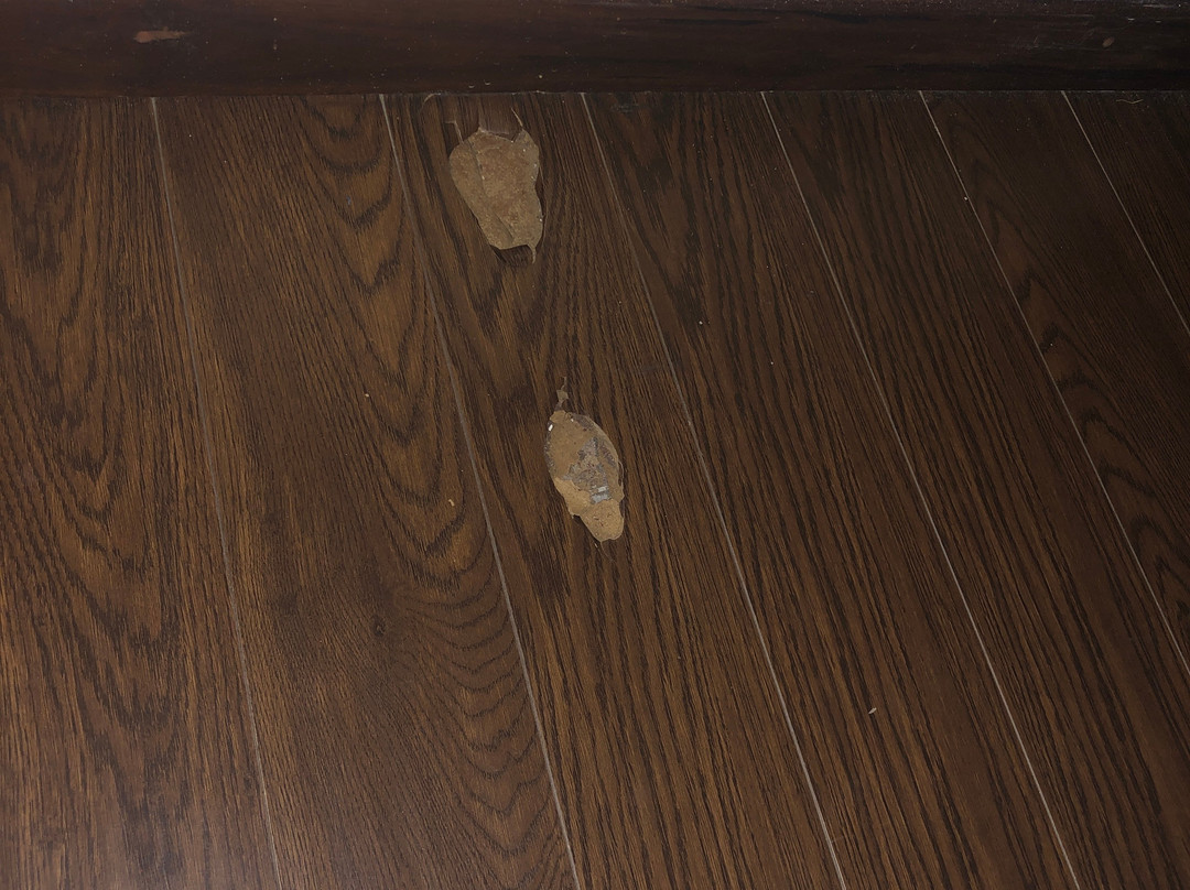 Best Western Imporio